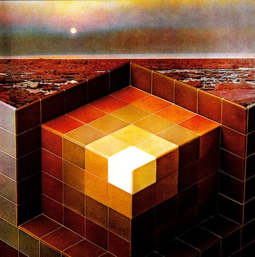 Black Mountain: In the Future ( RECORD )
