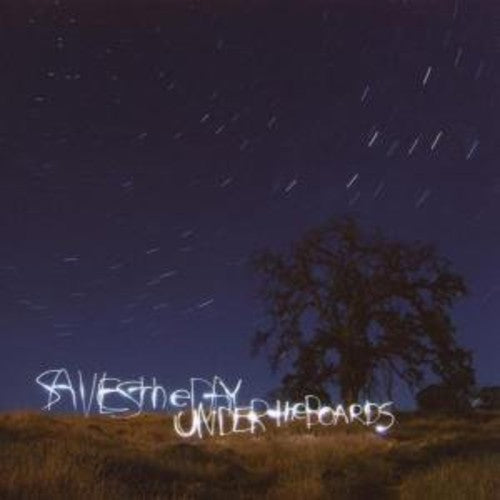Saves the Day: Under the Boards ( RECORD )