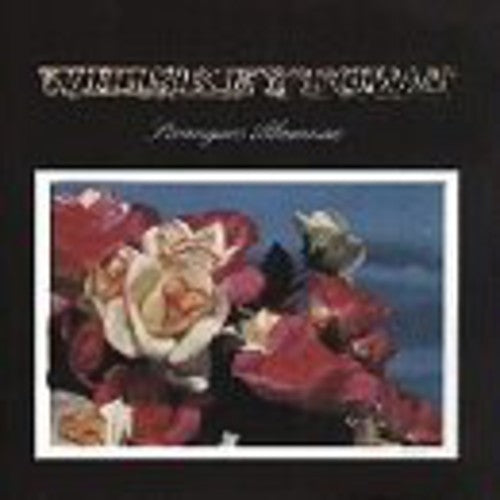 Whiskeytown: Strangers Almanac ( RECORD )