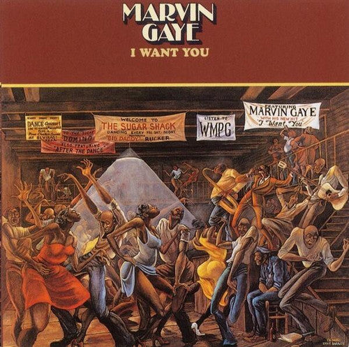 Marvin Gaye: I Want You ( RECORD )