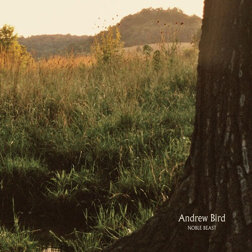 Andrew Bird: Noble Beast ( RECORD )