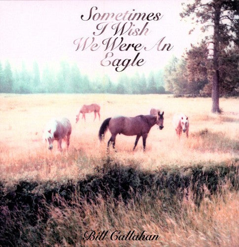 Bill Callahan: Sometimes I Wish We Were An Eagle ( RECORD )
