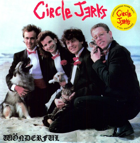 Circle Jerks: Wonderful ( RECORD )