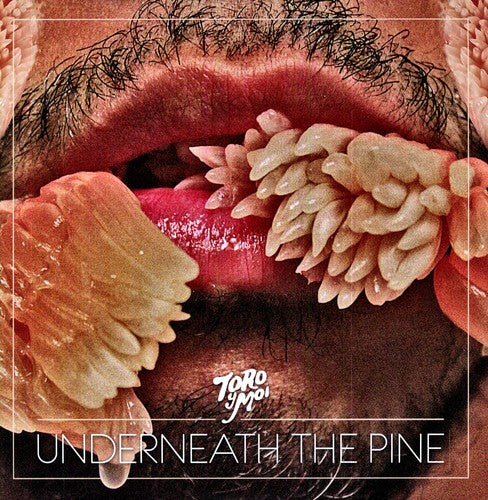 Toro y Moi: Underneath the Pine ( RECORD )