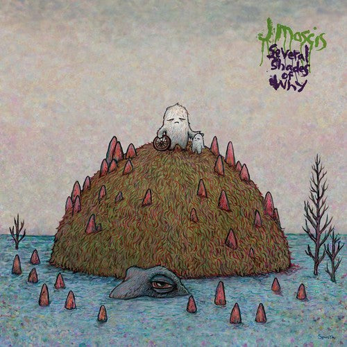 J Mascis: Several Shades of Why ( RECORD )
