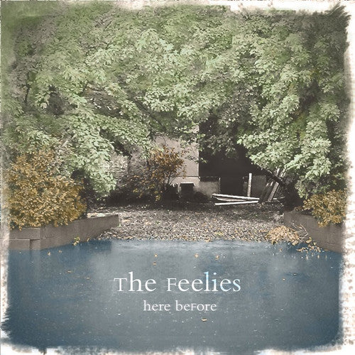The Feelies: Here Before ( RECORD )