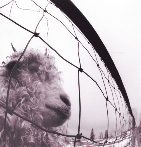 Pearl Jam: PEARL JAM / VS ( RECORD )