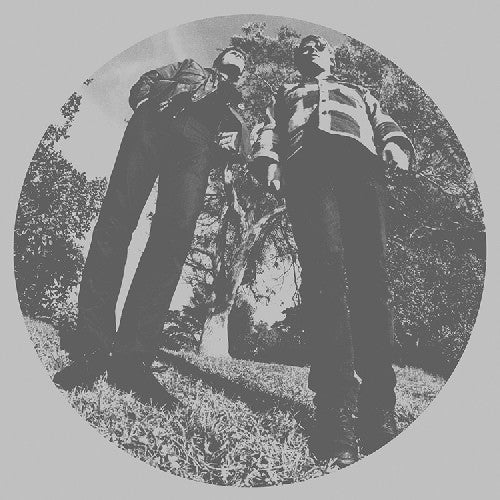 Ty Segall: Hair ( RECORD )