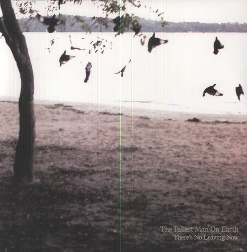The Tallest Man on Earth: There's No Leaving Now ( RECORD )
