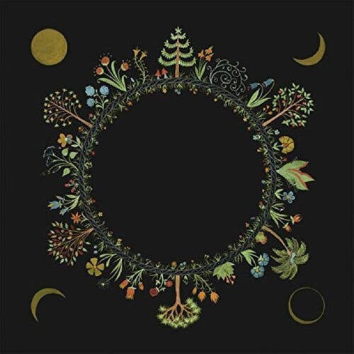 Laura Stevenson: Wheel ( RECORD )
