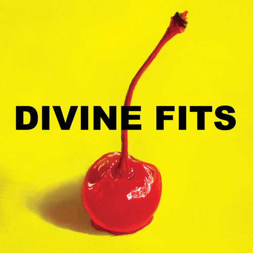 Divine Fits: A Thing Called Divine Fits ( RECORD )