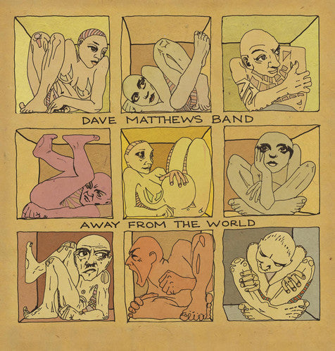 Dave Matthews: Away from the World ( RECORD )