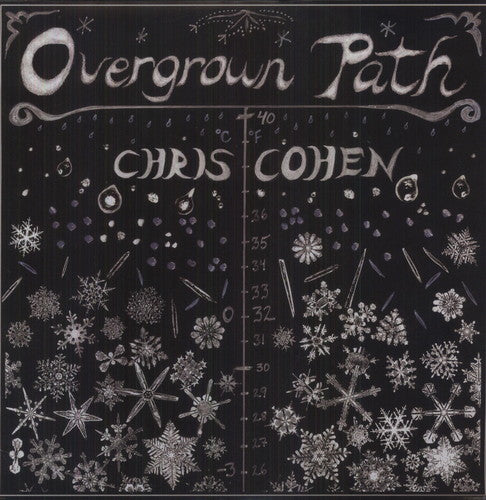 Chris Cohen: Overgrown Path ( RECORD )