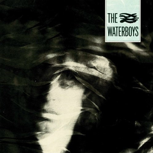 The Waterboys: Waterboys ( RECORD )