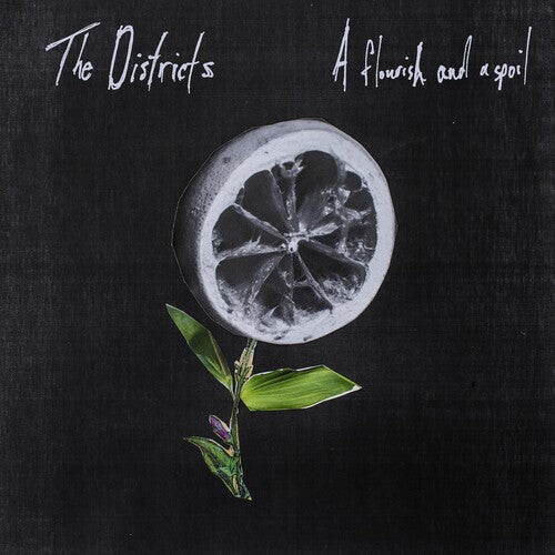 The Districts: Flourish and a Spoil ( RECORD )