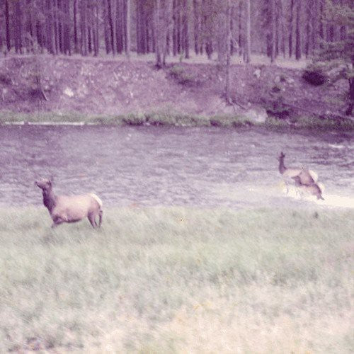 Seahaven: Ghost + Acoustic Sessions ( RECORD )
