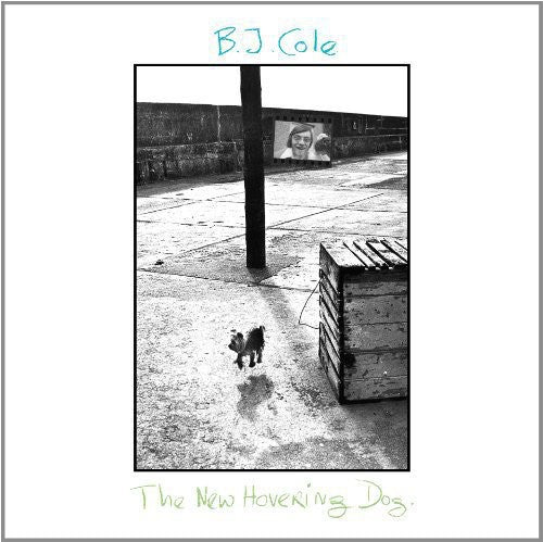 B.J. Cole: New Hovering Dog ( RECORD )