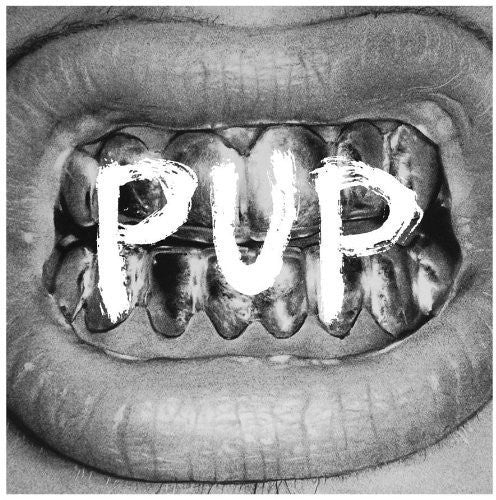 Pup: Pup ( RECORD )