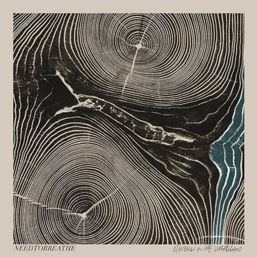 Needtobreathe: Rivers in the Wasteland ( RECORD )