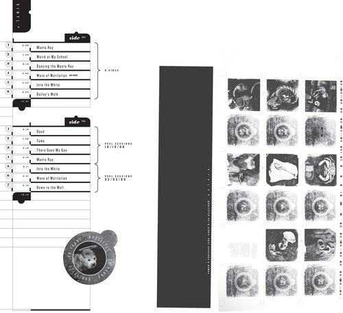 The Pixies: Doolittle 25: B-Sides Peel Sessions & Demos ( RECORD )