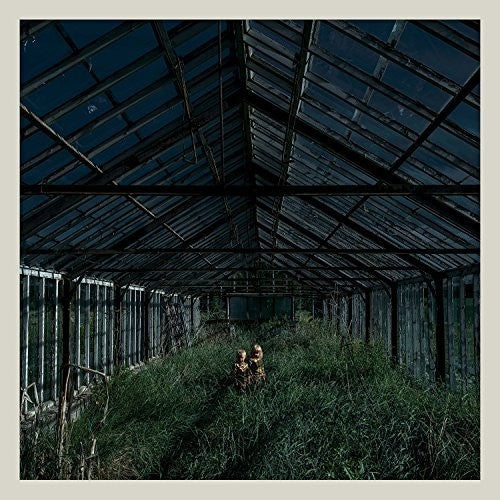 Foxing: Dealer ( RECORD )