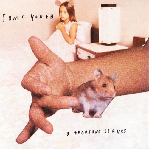 Sonic Youth: A Thousand Leaves ( RECORD )