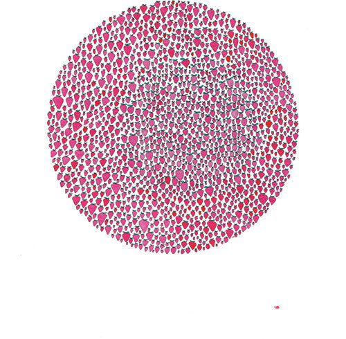 Julia Brown: An Abundance of Strawberries ( RECORD )