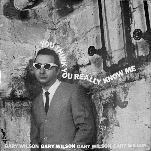Gary Wilson: You Think You Really Know Me ( RECORD )