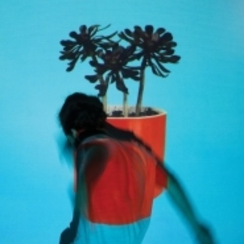 Local Natives: Sunlit Youth ( RECORD )