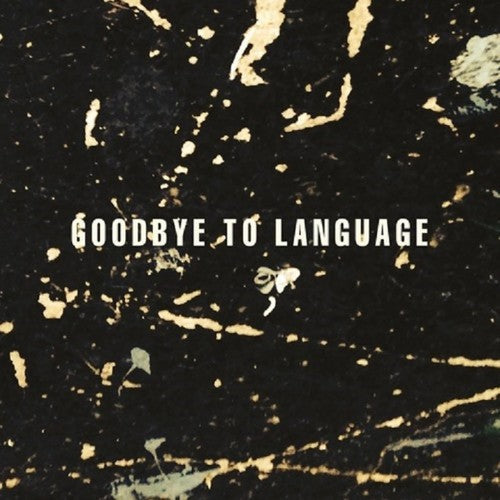 Daniel Lanois: Goodbye To Language ( RECORD )