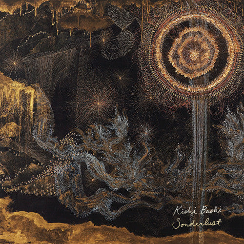 Kishi Bashi: Sonderlust ( RECORD )
