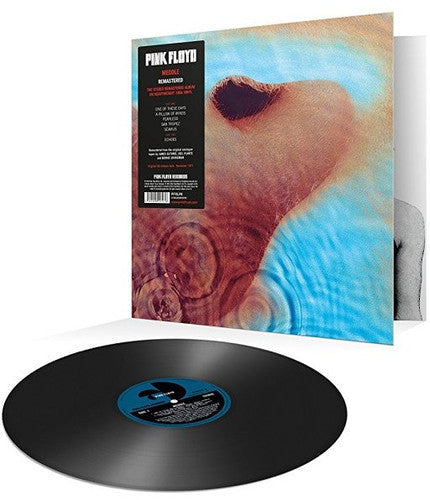 Pink Floyd: Meddle ( RECORD )