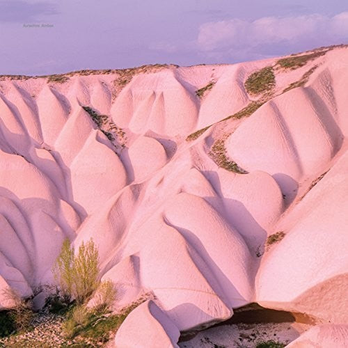 Autechre: Amber ( RECORD )