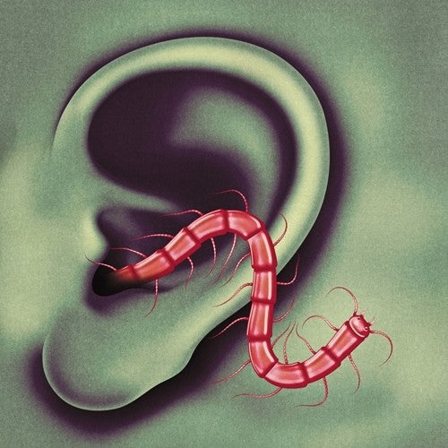 Thee Oh Sees: An Odd Entrances ( RECORD )
