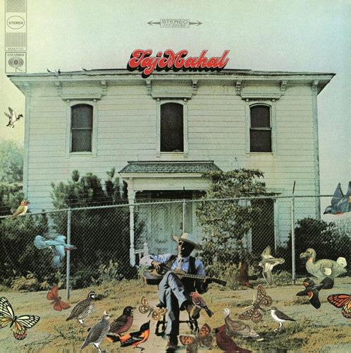 Taj Mahal: Taj Mahal ( RECORD )