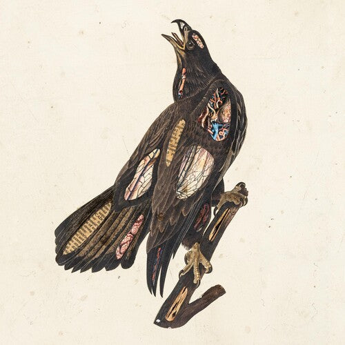 Clutch: Book Of Bad Decisions ( RECORD )