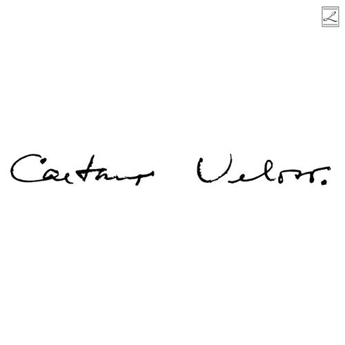 Caetano Veloso: Irene ( RECORD )