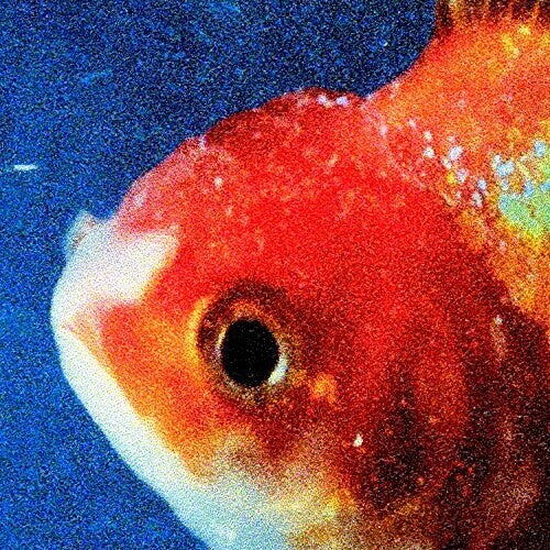 Vince Staples: Big Fish Theory ( RECORD )
