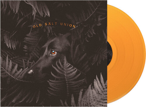 Old Salt Union: Where The Dogs Don't Bite ( RECORD )