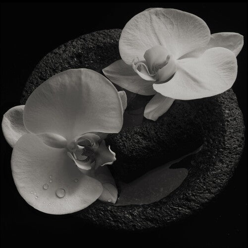 Mike Patton: Corpse Flower ( RECORD )