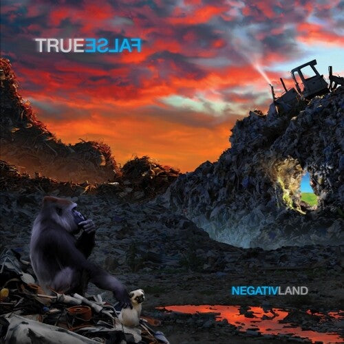 Negativland: True False ( RECORD )