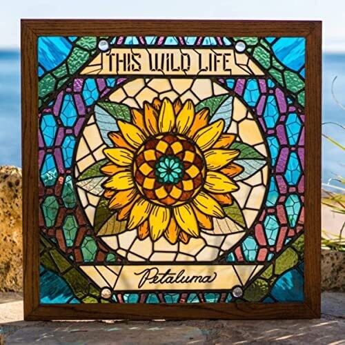This Wild Life: Petaluma (TRANS PALE BLUE) ( RECORD )