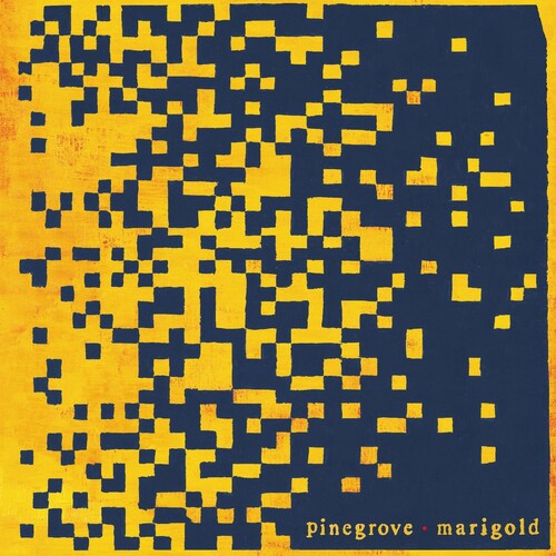 Pinegrove: Marigold ( RECORD )