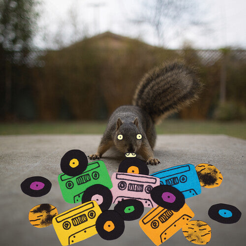 Evidence: Squirrel Tape Instrumentals 1 ( RECORD )