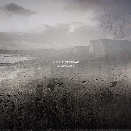 Joshua Trinidad: In November ( RECORD )