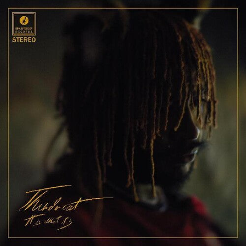 Thundercat: It Is What It Is ( RECORD )
