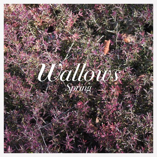Wallows: Spring ( RECORD )