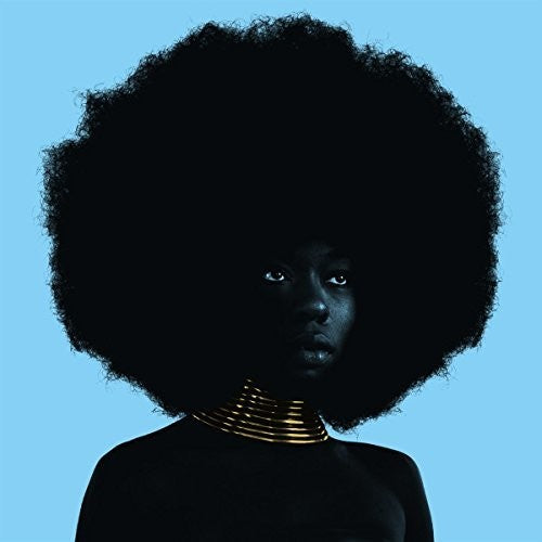Sudan Archives: Sink ( RECORD )
