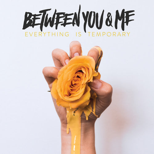 Between You & Me: Everything Is Temporary ( RECORD )