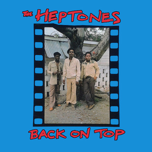 The Heptones: Back On Top ( RECORD )